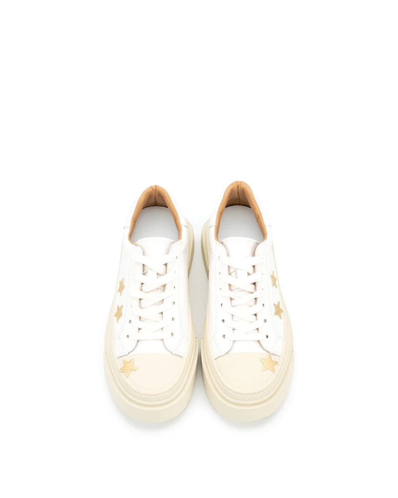 Star Embroidery Lace-Up Platform Sneakers